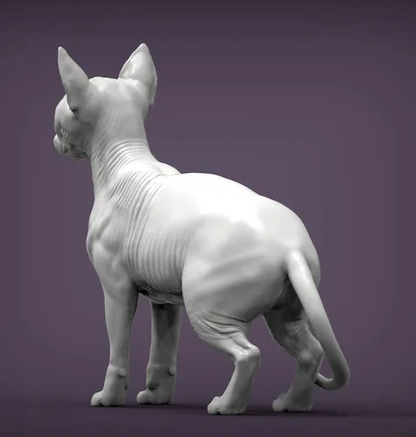 Sphynx Katze steht von Alexander3dart als 3D Druck