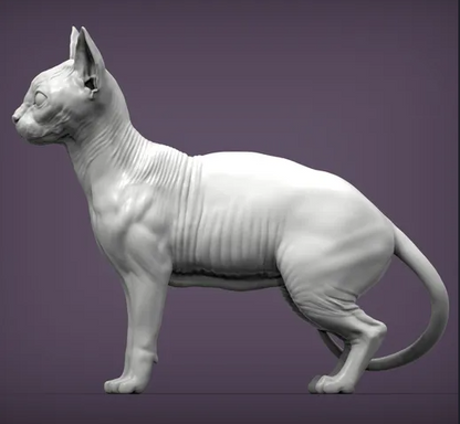 Sphynx Katze steht von Alexander3dart als 3D Druck