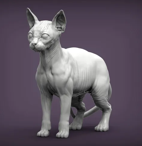 Sphynx Katze steht von Alexander3dart als 3D Druck
