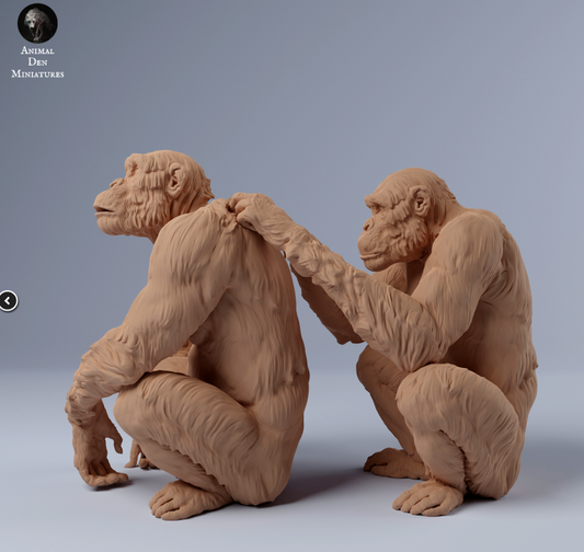 Schimpansen Lausen sich von animal den miniatures als 3D Druck