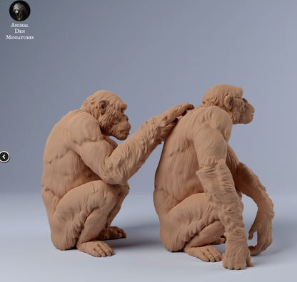 Schimpansen Lausen sich von animal den miniatures als 3D Druck