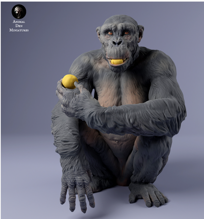 Schimpanse isst von Animal den miniatures