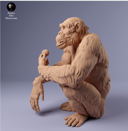 Schimpanse isst von Animal den miniatures