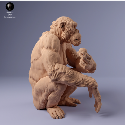 Schimpanse isst von Animal den miniatures