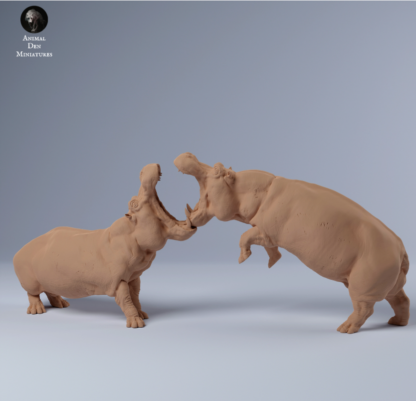 Nilpferdbullen Kämpfen von Animal den miniatures