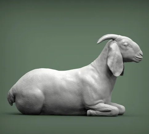 Liegende Buren Ziege von Alexander3dart / Als Miniatur-Tierfigur