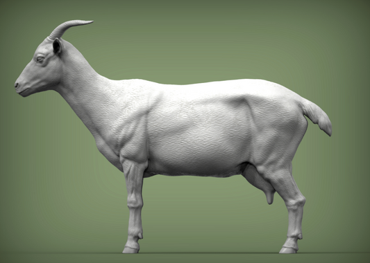 Stehende Ziege von Alexander3dart / Als Miniatur-Tierfigur