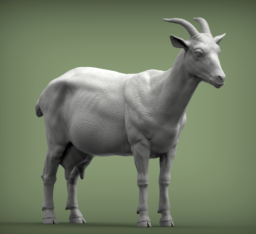 Stehende Ziege von Alexander3dart / Als Miniatur-Tierfigur