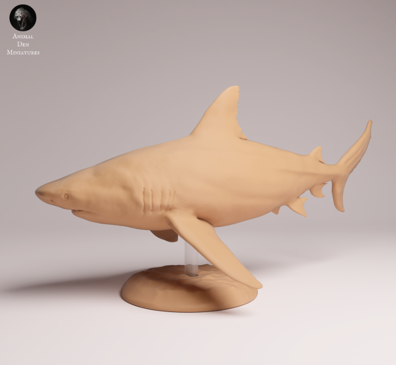 Bull Shark by Animal Den Miniatures / As a miniature animal figurine