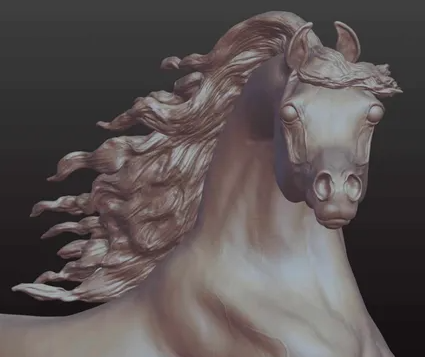 Araberhengst "Maximus" von Aislinn Brender Ford / In Zusammenarbeit