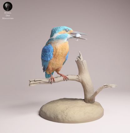 Eisvogel sitz auf Ast von Animal Den Miniatures