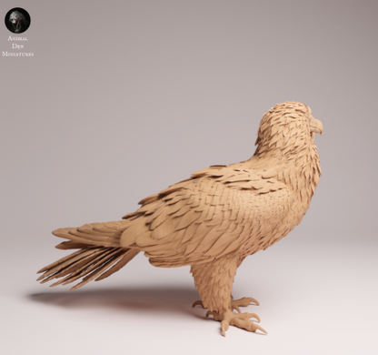 Bartgeier von Animal den miniatures