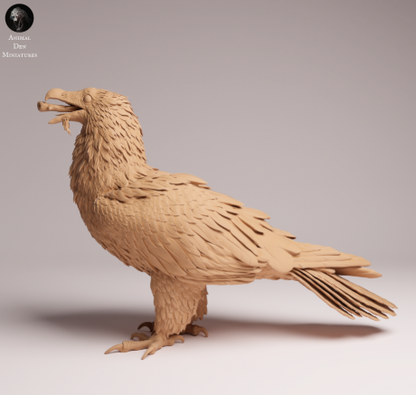 Bartgeier frisst von Animal den miniature