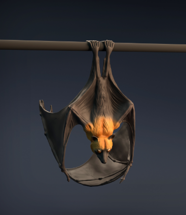 Flying fox by Animal Den Miniatures as a 3D print