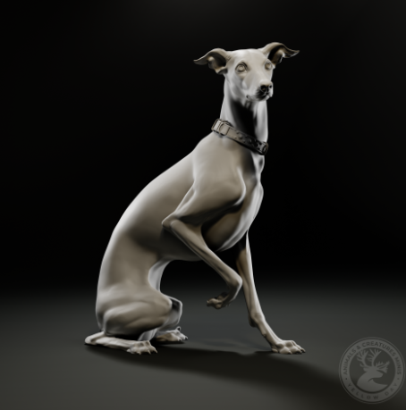 Italienischer Grauhund von Animals and creatures minis / unbemalter Resin Druck