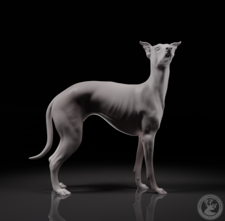 Whippet von Animals and creatures minis / unbemalter Resin Druck