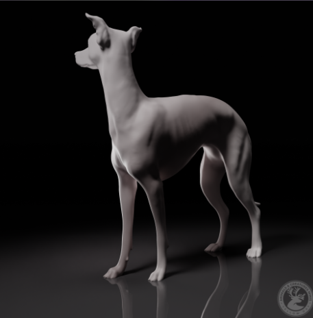 Whippet von Animals and creatures minis / unbemalter Resin Druck