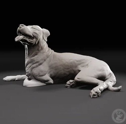 Liegender Rottweiler von Animals and creatures minis / unbemalter Resin Druck
