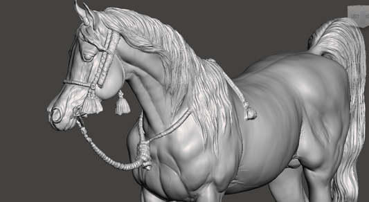Arabian Stallion "Morafic" by Aislinn Brender Ford / In Collaboration