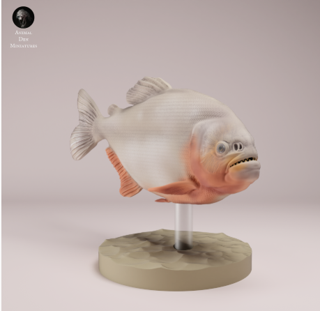 Roter Piranhas von Animal den miniatures