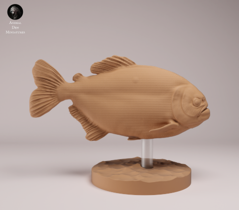 Roter Piranhas von Animal den miniatures