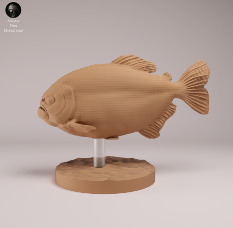 Roter Piranhas von Animal den miniatures