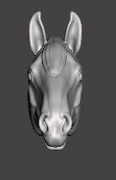 Pferdekopf von Rudzia zum custen / Resin 3D Druck