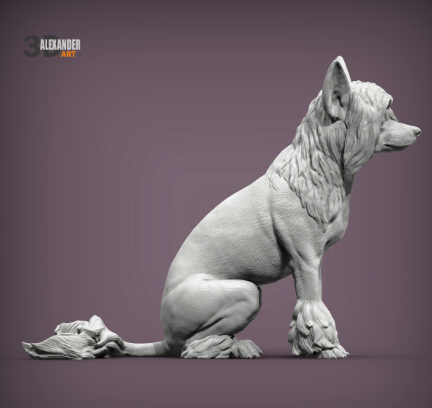 Chinese Crested sitzt von Alexander3dArt