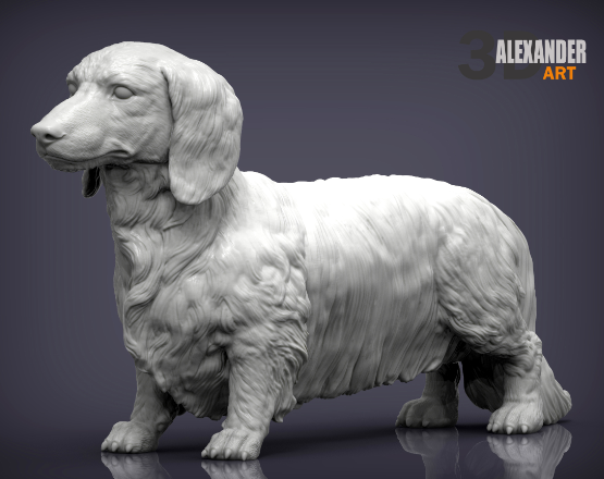 Langhaar Dackel  von Alexander3dArt