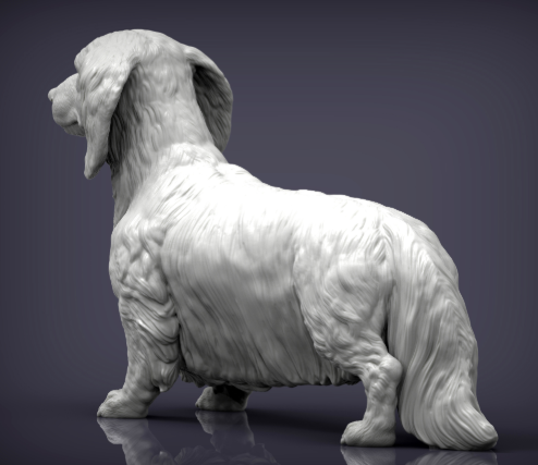 Langhaar Dackel  von Alexander3dArt