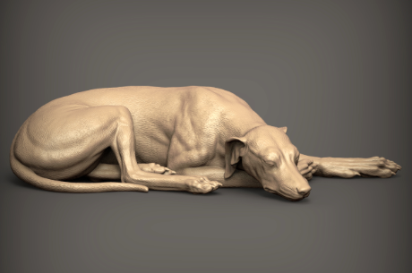 Whippet liegt von Alexander3dart / unbemalter Resin
