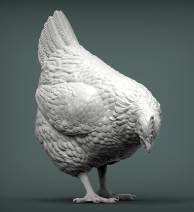 Huhn sucht Futter von Akuzmenko als 3D Druck