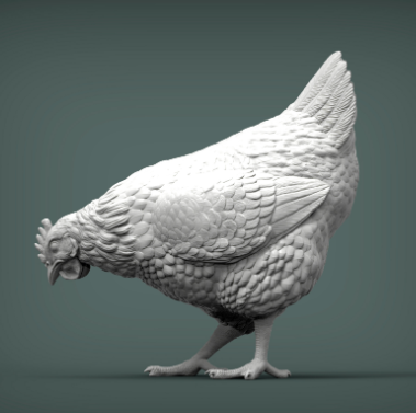 Huhn sucht Futter von Akuzmenko als 3D Druck
