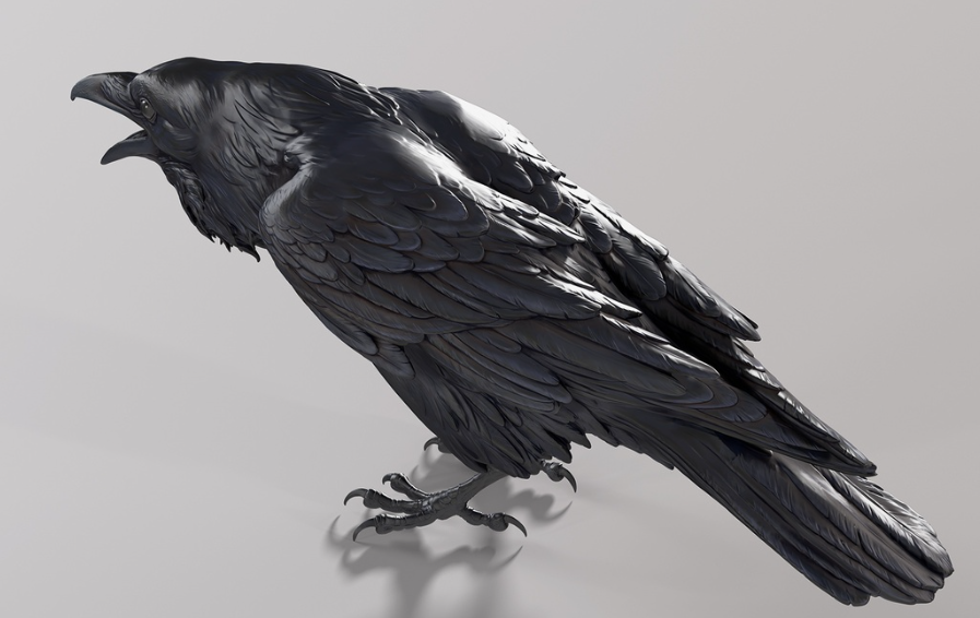 Krähe / unbemalter Resin 3D Druck