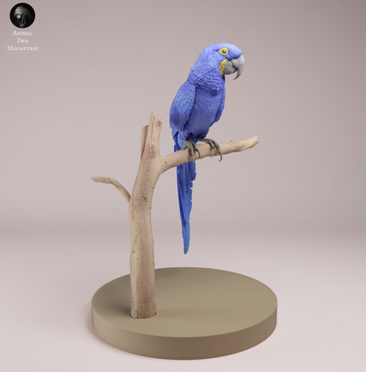 Hyazinthara sitzt auf Ast  von Animal Den Miniatures