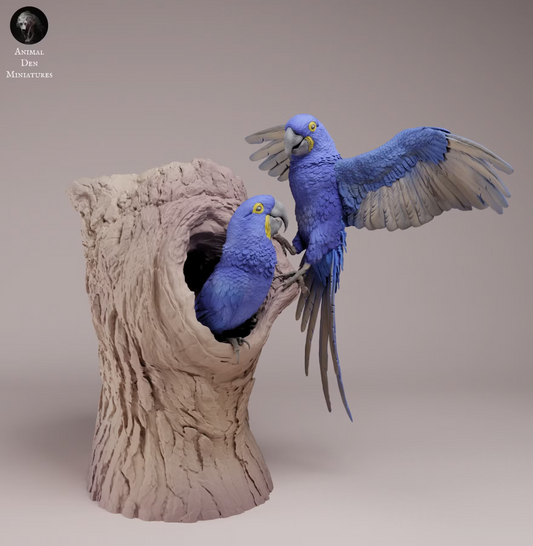 Hyazinthara Pärchen  von Animal Den Miniatures