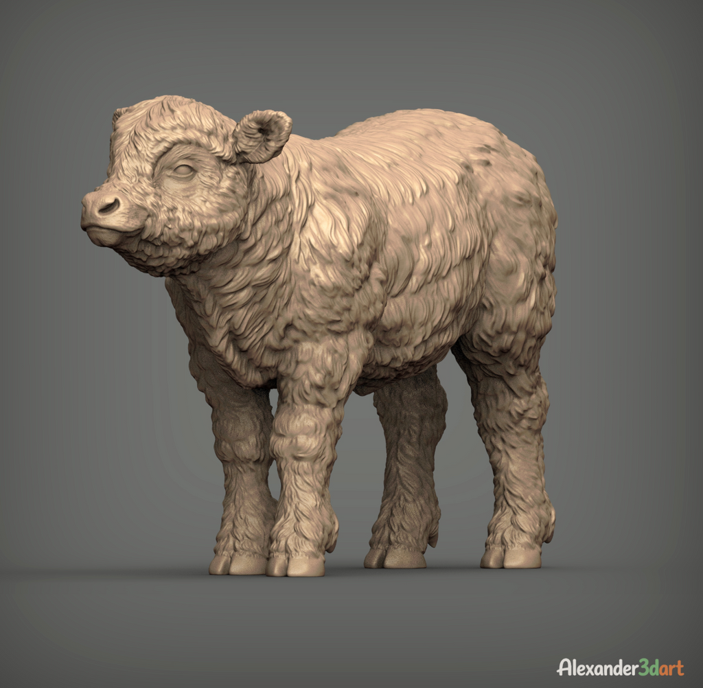 Schottisches Hochland Kalb / unbemalter Resin 3D Druck
