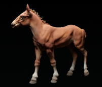 Hermès marchant (poulain Suffolk Punch) par Animal den miniatures