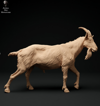 Chèvre n°1 d'Animal den miniatures
