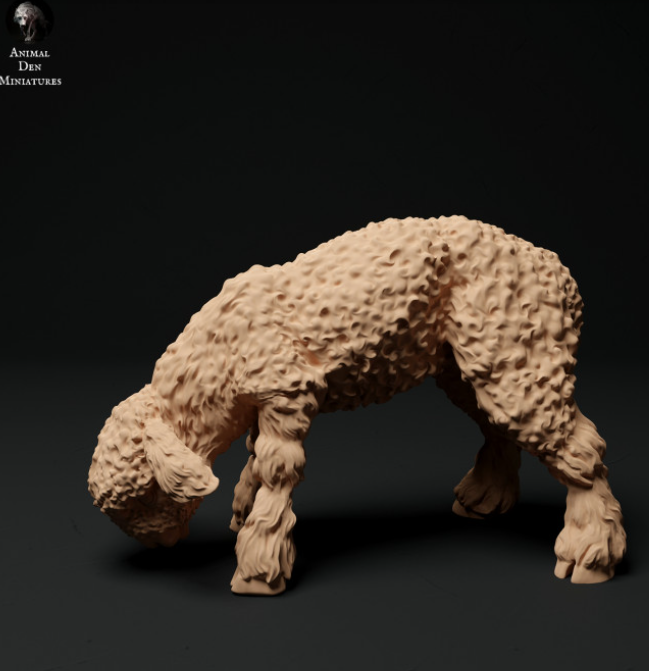 Devon und Cornwell Langwoll Lamm Nr.2 von Animal den miniatures