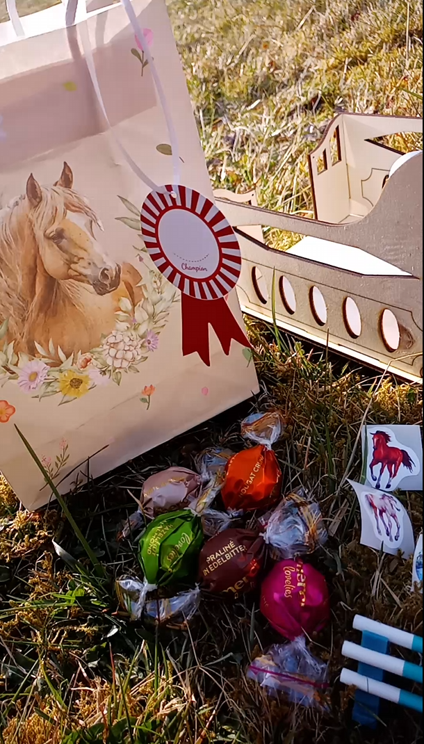 Sac à cheval magique