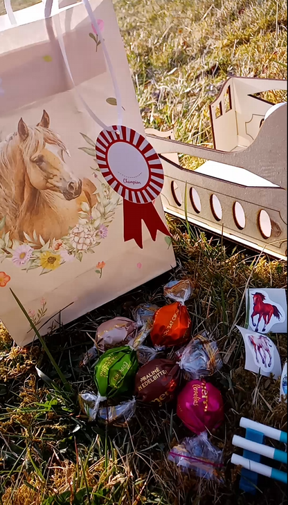 Sac à cheval magique