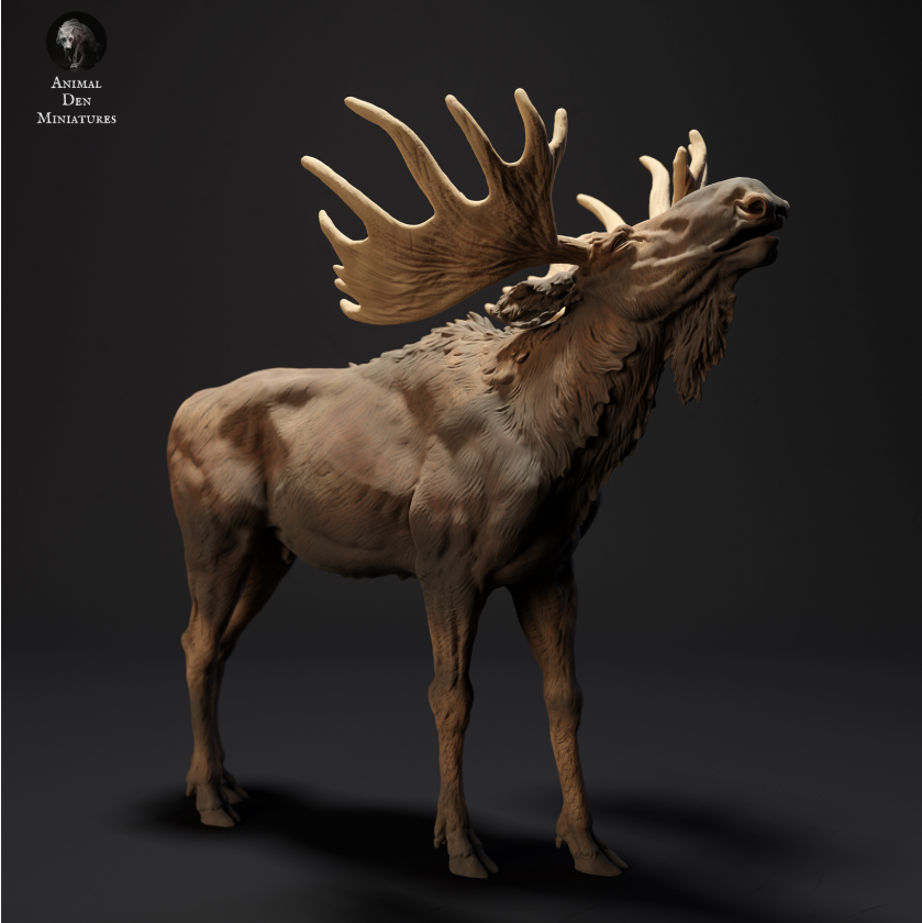 Miniatures d'élans provenant de tanières d'animaux, imprimées en 3D