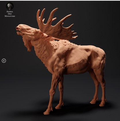 Miniatures d'élans provenant de tanières d'animaux, imprimées en 3D