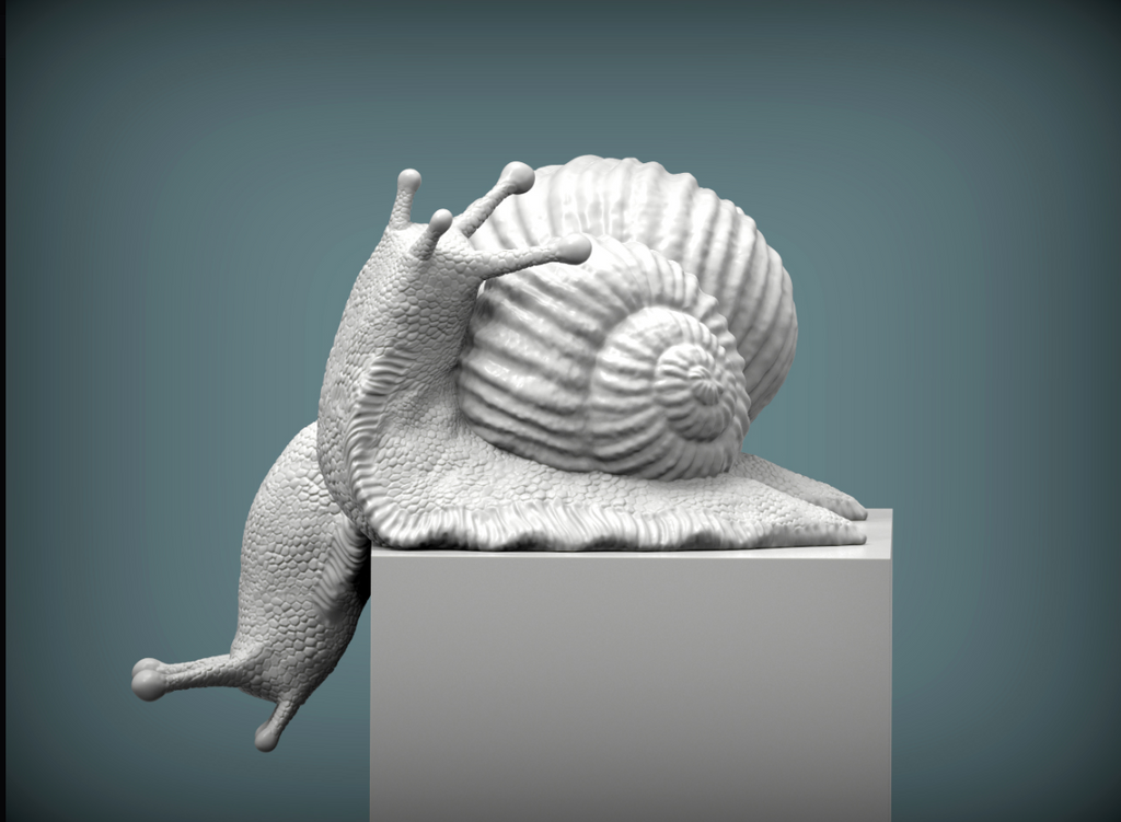 Schnecken Pärchen auf Würfel von Akuzmenko als 3D Druck