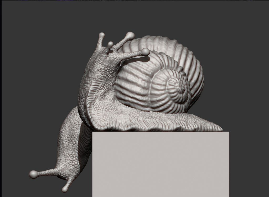 Schnecken Pärchen auf Würfel von Akuzmenko als 3D Druck