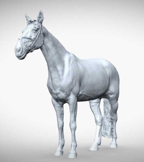 Cheval avec licol « Charles » par Europac3D en impression 3D