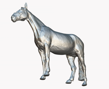 Cheval avec licol « Charles » par Europac3D en impression 3D