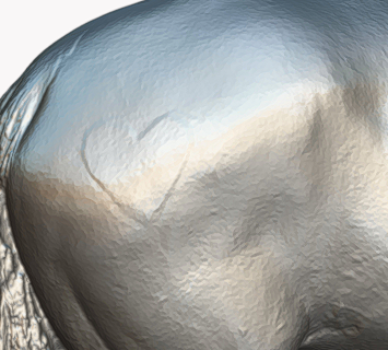 Cheval avec licol « Charles » par Europac3D en impression 3D
