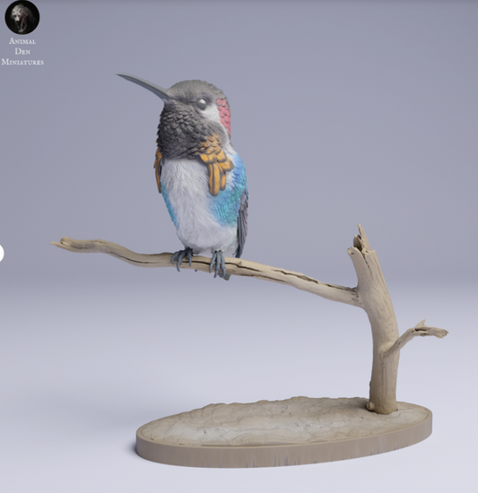 Kolibri sitzt auf Ast von Animal den miniatures als 3D Druck